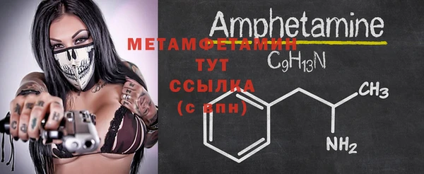 шишки Гусиноозёрск
