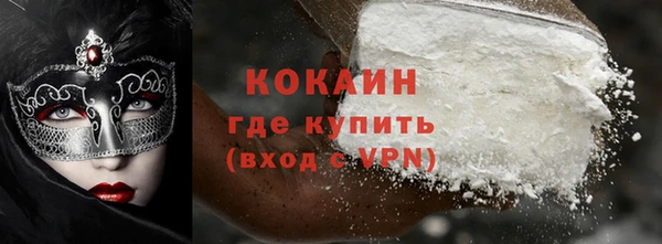 шишки Гусиноозёрск