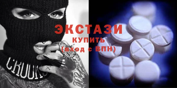 шишки Гусиноозёрск
