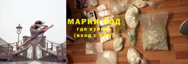 шишки Гусиноозёрск
