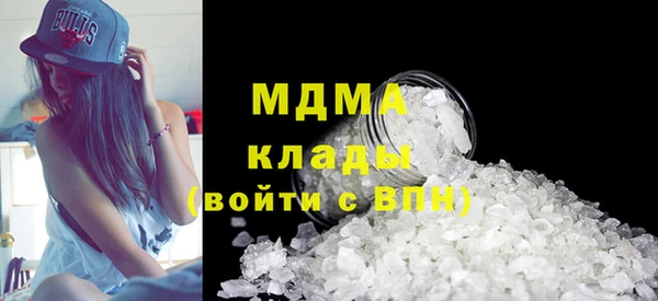 шишки Гусиноозёрск