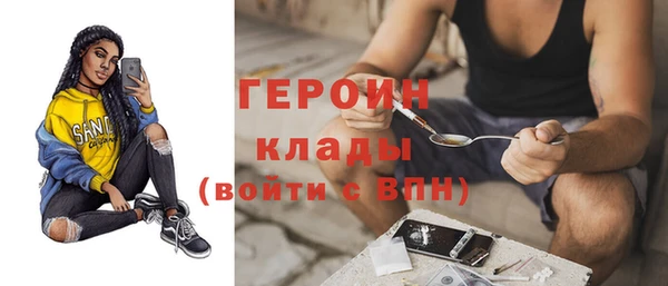 шишки Гусиноозёрск