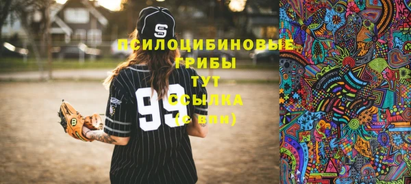 MESCALINE Гусь-Хрустальный