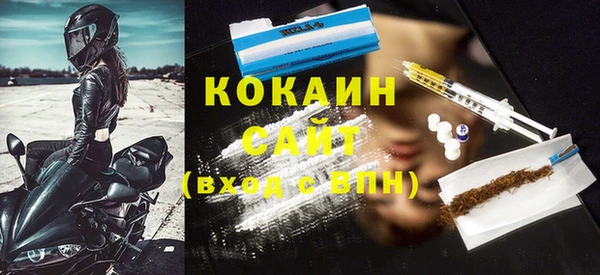шишки Гусиноозёрск