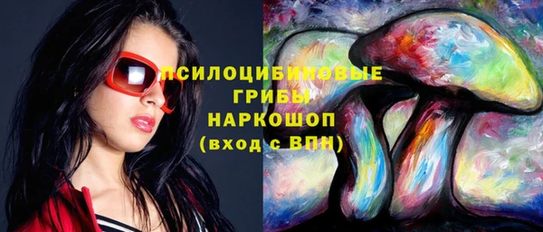 шишки Гусиноозёрск