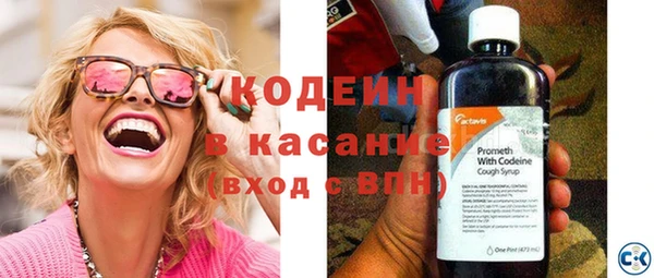 шишки Гусиноозёрск
