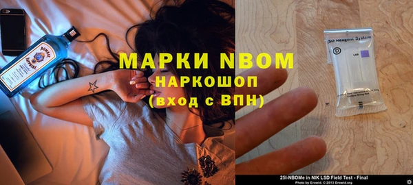 шишки Гусиноозёрск