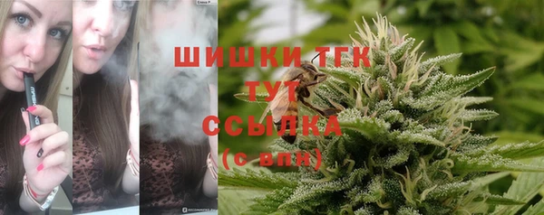 MESCALINE Гусь-Хрустальный