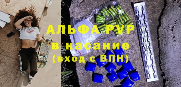 шишки Гусиноозёрск