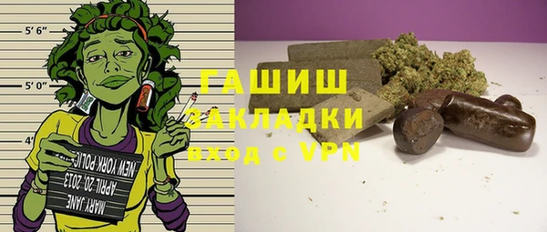 шишки Гусиноозёрск