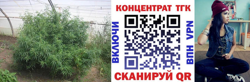 ОМГ ОМГ ссылки  Домодедово  ТГК гашишное масло 